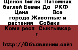 Щенок бигля. Питомник биглей Беван-До (РКФ) › Цена ­ 20 000 - Все города Животные и растения » Собаки   . Коми респ.,Сыктывкар г.